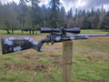 ASCENT RIFLE